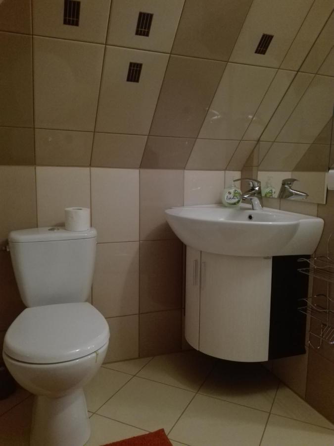 Villa Aurelia Pokoje Goscinne I Domki Letniskowe 米耶伦科 外观 照片