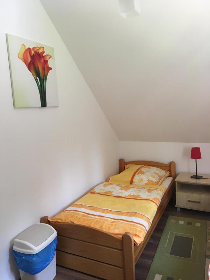 Villa Aurelia Pokoje Goscinne I Domki Letniskowe 米耶伦科 外观 照片