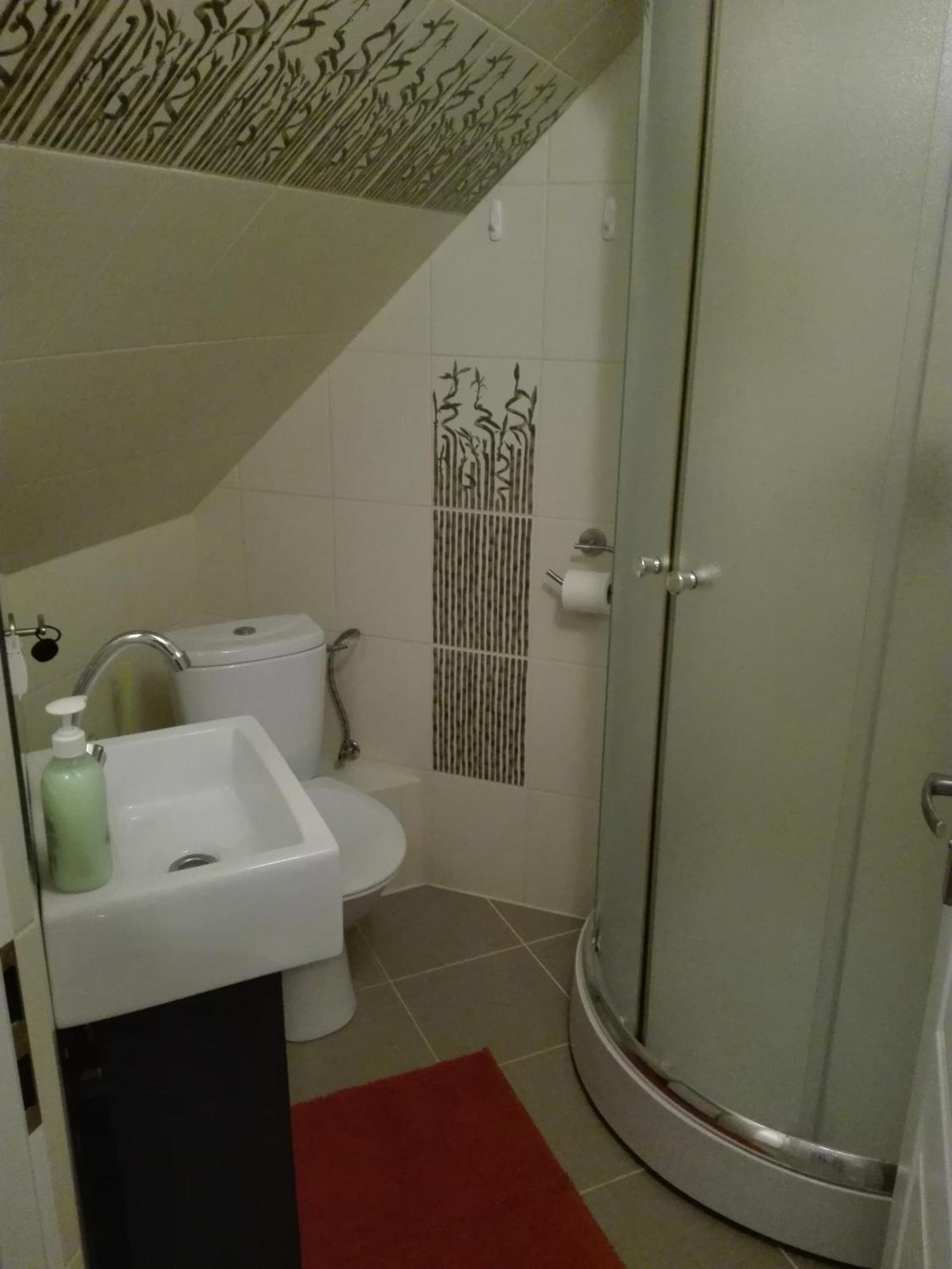 Villa Aurelia Pokoje Goscinne I Domki Letniskowe 米耶伦科 外观 照片